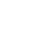 Objective 1